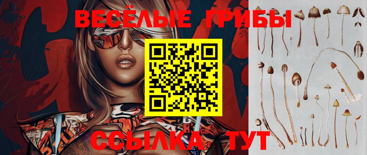 Верхняя Салда  купить наркотики цена  Вход с VPN  Галлюциногенные грибы Psilocybe 