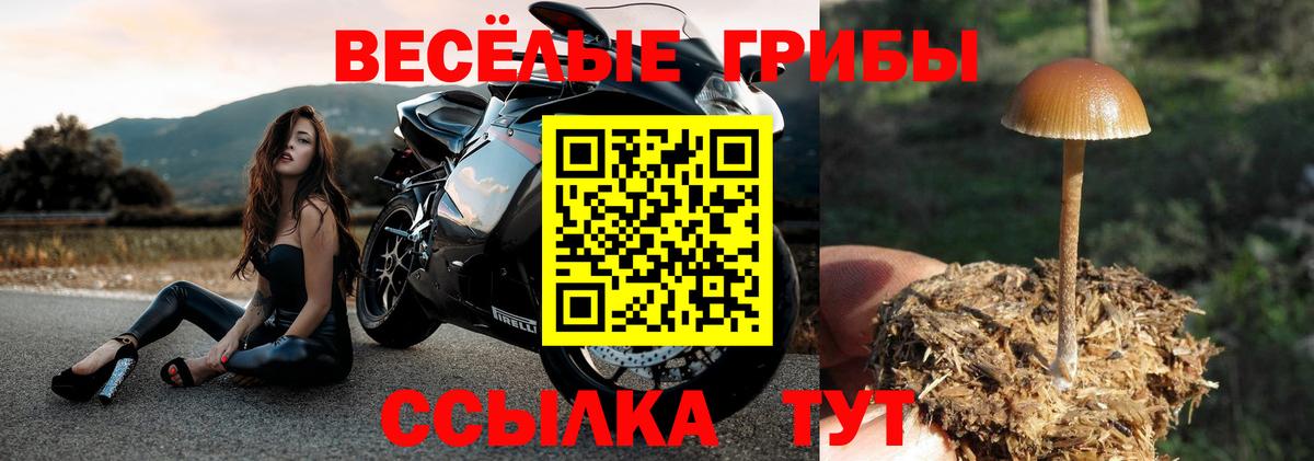 Псилоцибиновые грибы Psilocybine cubensis Верхняя Салда